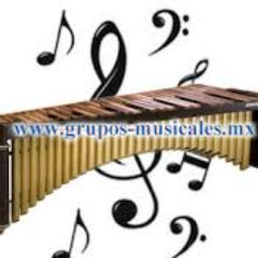 GRUPOS MUSICALES